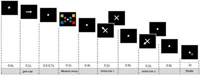 Exploring retro-cue effects on visual working memory: insights from double-cue paradigm